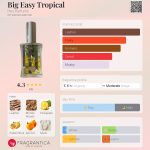 عطر ادکلن بزرگ ایزی تروپیکال هِز پرفیومز - Big Easy Tropical Hez Parfums - بررسی، قیمت و خرید
