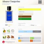 عطر ادکلن آفوره تانجرین گیله سنت لاور - Afourer Tangerine Guille Scent Lover - بررسی، قیمت و خرید