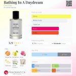 عطر ادکلن بثینگ این اِ دی‌دریم امیلی الیس - Bathing In A Daydream Emil Elise - بررسی، قیمت و خرید
