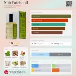 عطر ادکلن نویر پچولی هیسطورِ دو پارفوم - Noir Patchouli Histoires de Parfums - بررسی، قیمت و خرید