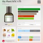 عطر ادکلن شای پلنت دی گری - Shy Plant (MẮC CỠ) d.grayi - بررسی، قیمت و خرید