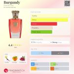 عطر ادکلن بورگوندی هند العود - Burgundy Hind Al Oud - بررسی، قیمت و خرید
