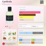 عطر ادکلن گاردنیا جرینی - Gardenia Gerini - بررسی، قیمت و خرید