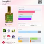 عطر ادکلن سانگ برد دی‌اِس‌اچ پرفیومز - Songbird DSH Perfumes - بررسی، قیمت و خرید