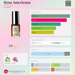 عطر ادکلن رزا امریکن دی‌اس‌ان‌دورگا - Rosa Americana DS&Durga - بررسی، قیمت و خرید