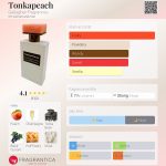 عطر ادکلن تونکپیچ گالگر فرگرنسز - Tonkapeach Gallagher Fragrances - بررسی، قیمت و خرید