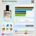عطر ادکلن بیگ سور یوکالیپتوس دی‌اس‌اند‌دورگا - Big Sur Eucalyptus DS&Durga - بررسی، قیمت و خرید