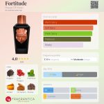 عطر ادکلن فورتی‌تیود هاوس آف ویژن - Fortitude House Of Vision - بررسی، قیمت و خرید