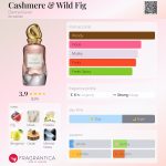 عطر ادکلن کشمر اند وایلد فیگ دونا کارن - Cashmere & Wild Fig Donna Karan - بررسی، قیمت و خرید