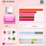 عطر ادکلن ال این پاریس اِل - Elle in Paris Elle - بررسی، قیمت و خرید