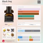 عطر ادکلن بِلَک داگ دی گرایی - Black Dog d.grayi - بررسی، قیمت و خرید