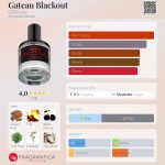 عطر ادکلن گاتوع بلک اوت دی‌اس اند درگا - Gateau Blackout DS&Durga - بررسی، قیمت و خرید