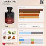 عطر ادکلن تنتیشن عود دایان کاستل - Tentaion Oud Diane Castel - بررسی، قیمت و خرید