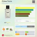 عطر ادکلن پریما ترا فندی - Prima Terra Fendi - بررسی، قیمت و خرید