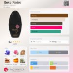 عطر ادکلن رز نویر جورجو والنته - Rose Noire Giorgio Valenti - بررسی، قیمت و خرید