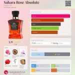 عطر ادکلن ساهارا رز ابسولوت هبیبی نیویورک - Sahara Rose Absolute Habibi NY - بررسی، قیمت و خرید