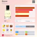 عطر ادکلن بریز کویسی بی - Breeze Coisy B. - بررسی، قیمت و خرید