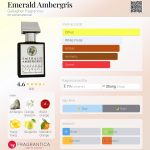 عطر ادکلن امرالد امبرگریس گالاگر فراگرنسز - Emerald Ambergris Gallagher Fragrances - بررسی، قیمت و خرید