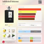عطر ادکلن ادیکتد اینتنس حمیدی - Addicted Intense Hamidi - بررسی، قیمت و خرید