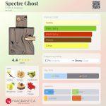 عطر ادکلن اسپکتر گوست فرنچ اونیو - Spectre Ghost French Avenue - بررسی، قیمت و خرید