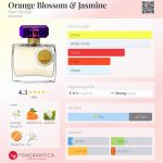 عطر ادکلن اورنج بلاسوم اند جاسمین هنری بندل - Orange Blossom & Jasmine Henri Bendel - بررسی، قیمت و خرید