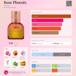 عطر ادکلن رز فونیکس دی‌گری - Rose Phoenix d.grayi - بررسی، قیمت و خرید