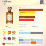 عطر ادکلن شلیان دی‌تِیل - Shéliane Detaille - بررسی، قیمت و خرید