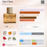عطر ادکلن استی کلوز دیِم - Stay Close DIEM - بررسی، قیمت و خرید