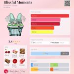 عطر ادکلن بلیسفول مومنتس هاوس آو سیلاج - Blissful Moments House Of Sillage - بررسی، قیمت و خرید