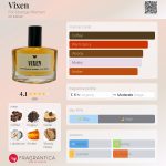 عطر ادکلن ویکسن فور استرنج وومن - Vixen For Strange Women - بررسی، قیمت و خرید