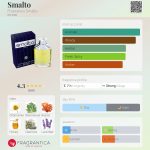 عطر ادکلن اسمالتو فرانچسکو سوالتو - Smalto Francesco Smalto - بررسی، قیمت و خرید