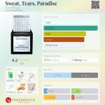عطر ادکلن سویت، تیئرز، پردایس دیسکو - Sweat, Tears, Paradise Discothèque - بررسی، قیمت و خرید
