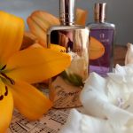 عطر ادکلن دیبو بای نایت اگنر - Debut by Night Etienne Aigner - بررسی، قیمت و خرید