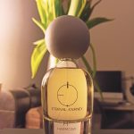 عطر ادکلن اچ دو: هارمونی اِترنال جِرنی - H2: Harmony Eternal Journey - بررسی، قیمت و خرید