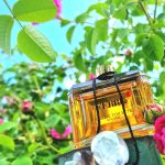 عطر ادکلن جیانفرانکو فره جیانفرانکو فره - Gianfranco Ferre Gianfranco Ferre - بررسی، قیمت و خرید