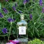 عطر ادکلن ریلِنت اِترو - Relent Etro - بررسی، قیمت و خرید