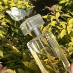 عطر ادکلن اینتوییشن استی لادر - Intuition Estée Lauder - بررسی، قیمت و خرید