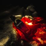 عطر ادکلن فارنهایت دیور - Fahrenheit Dior - بررسی، قیمت و خرید