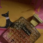 عطر ادکلن پاچولی ساواژ هووبیگان - Patchouli Sauvage Houbigant - بررسی، قیمت و خرید