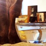 عطر ادکلن دی کی ان وای مای نی دانا کارن - DKNY My NY Donna Karan - بررسی، قیمت و خرید