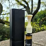 عطر ادکلن آندا ماریس هشت فیلیپو سورسینلی - Unda Maris 8 Filippo Sorcinelli - بررسی، قیمت و خرید