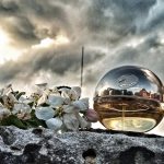 عطر ادکلن دی کی ان وای گلدن دلیشس دانا کارن - DKNY Golden Delicious Donna Karan - بررسی، قیمت و خرید