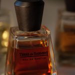 عطر ادکلن تر د سارمان فرپین - Terre de Sarment Frapin - بررسی، قیمت و خرید