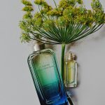 عطر ادکلن اون جاردین اپق لاموسون اِرمِس - Un Jardin Apres la Mousson Hermès - بررسی، قیمت و خرید