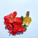 عطر ادکلن اسکادا مارگاریتا لی اسکادا - Escada Margaretha Ley Escada - بررسی، قیمت و خرید