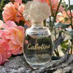 عطر ادکلن کبوتین گلد گرس - Cabotine Gold Grès - بررسی، قیمت و خرید