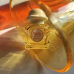 عطر ادکلن تویلی د هرمس او جینجر اِرمِس - Twilly d'Hermès Eau Ginger Hermès - بررسی، قیمت و خرید