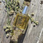 عطر ادکلن اف آر صفر یک فیس‌تئوری - FR 01 Facetheory - بررسی، قیمت و خرید
