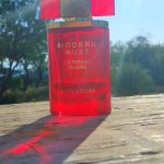 عطر ادکلن مدرن میوز له رژ گلاس اِسته لُدر - Modern Muse Le Rouge Gloss Estée Lauder - بررسی، قیمت و خرید