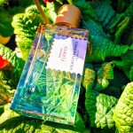 عطر ادکلن پسیفیک راک فلاور گلدفیلد اند بنکس استرالیا - Pacific Rock Flower Goldfield & Banks Australia - بررسی، قیمت و خرید